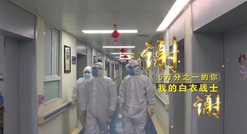 “守護天使”公益律師武漢上崗，為醫(yī)護筑起法律后盾